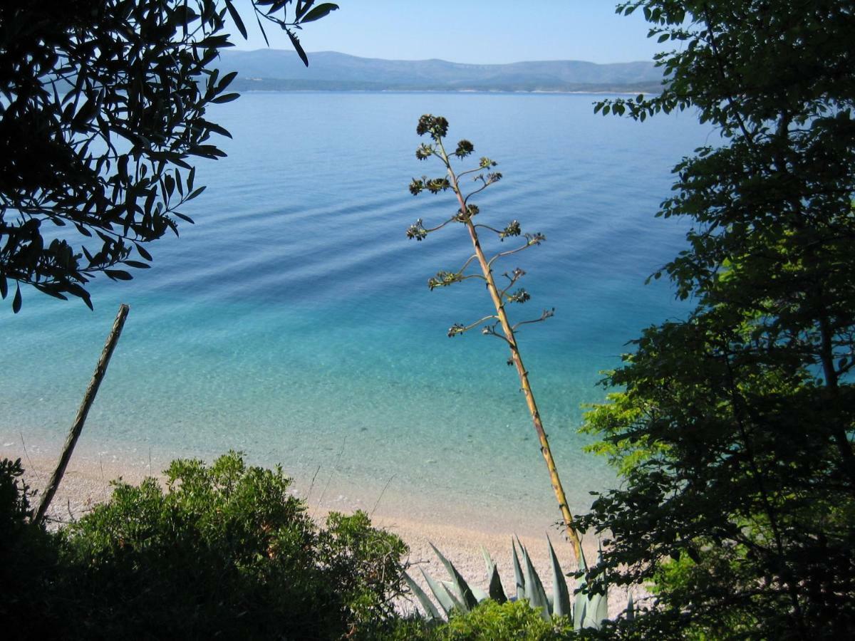Villa Lipa Dora Murvica  Εξωτερικό φωτογραφία